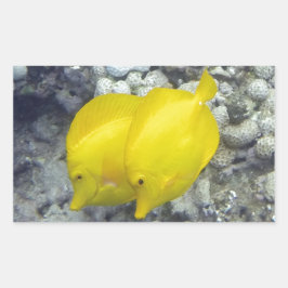 Die gelbe Zangfische Rechteckiger Aufkleber