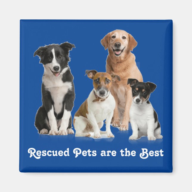 Die geretteten Haustiere sind die besten Magnet (Vorne)