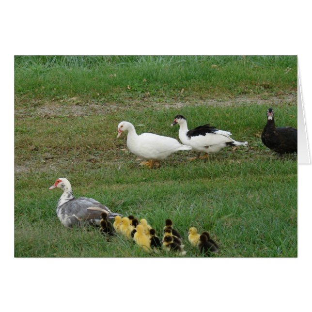 Die gesamte Familie (Vorderseite (Horizontal))