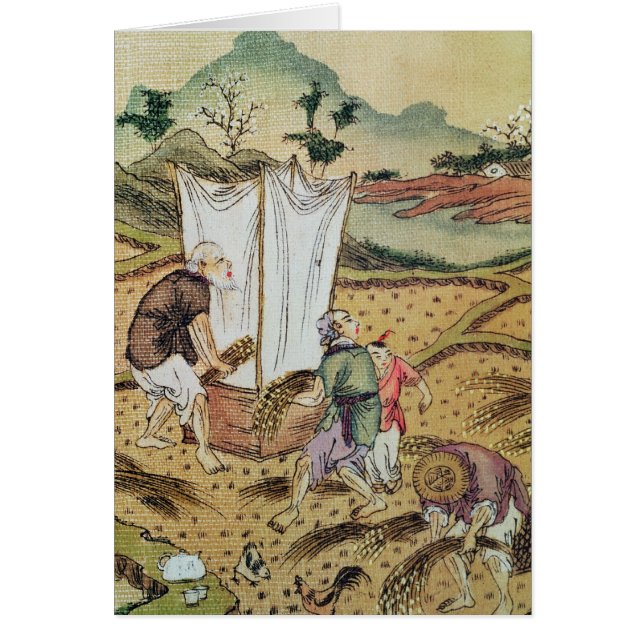 Die Geschichte des Reises (Vorne)