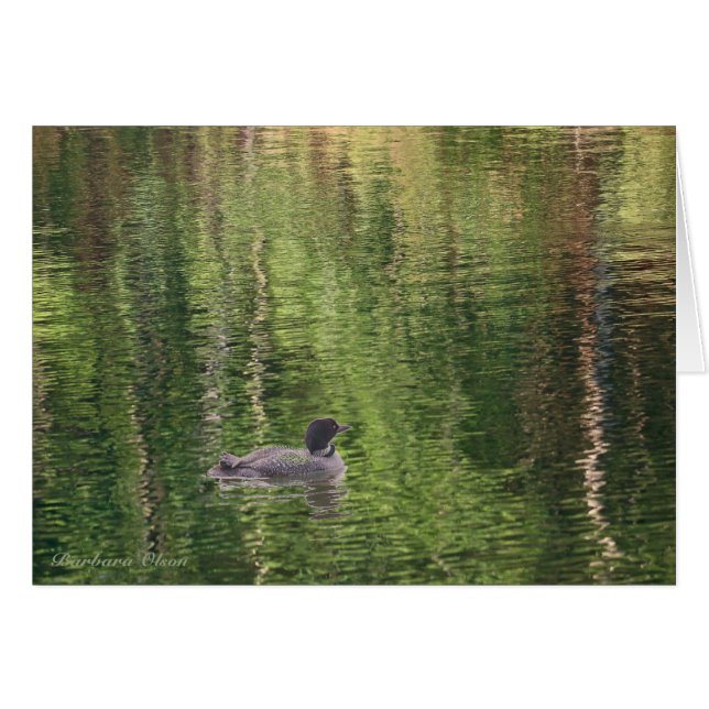 Die Gewässer des Waldensees - Gemeinsame Loon (Vorderseite (Horizontal))