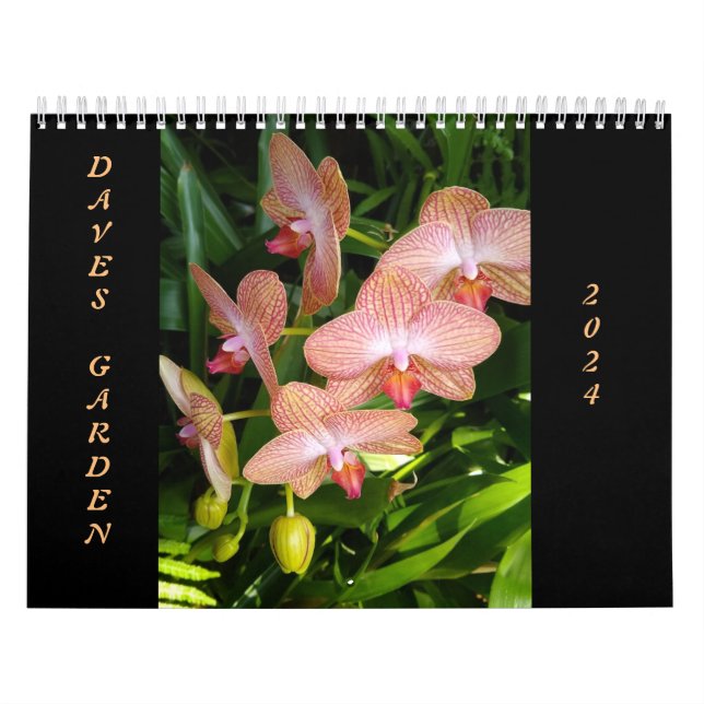 Die Gewinner des Dave's Garden Foto Contest 2024 Kalender (Titelbild)