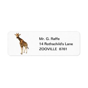 Die Giraffe