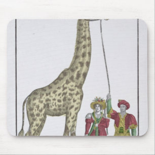 Die Giraffe dargestellt dem König Mousepad