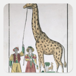 Die Giraffe dargestellt König vom Pasha von Quadratischer Aufkleber