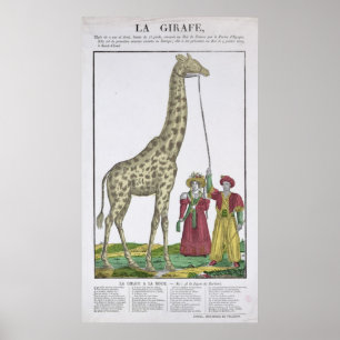 Die Giraffe für den König Poster