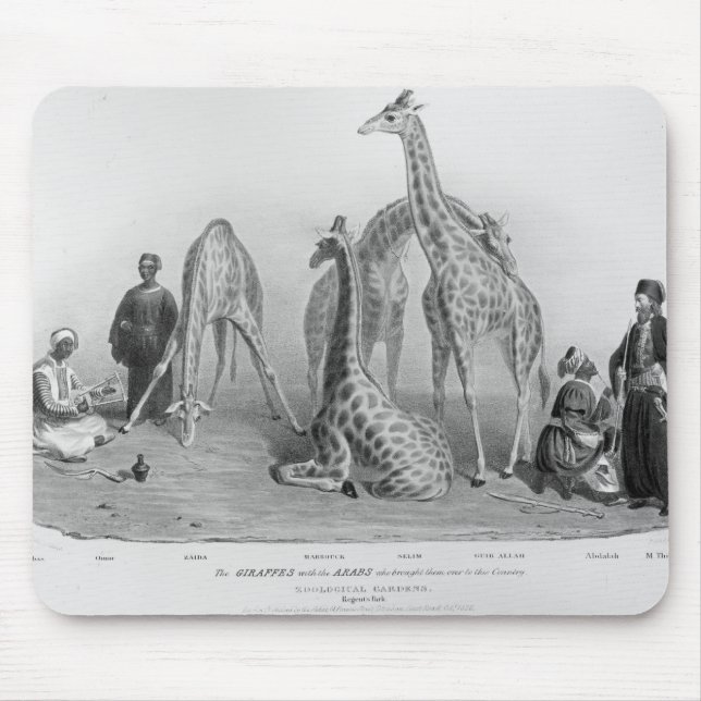 Die Giraffen mit den Arabern Mousepad (Vorne)
