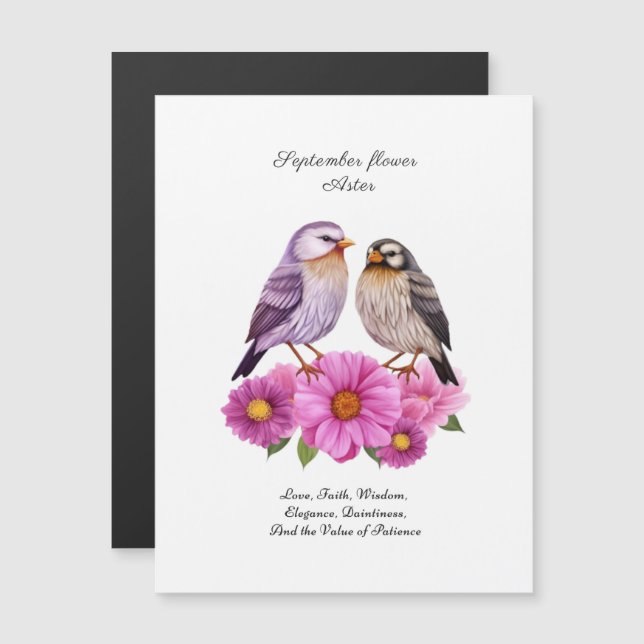 Die glorreiche Blume im September - Aster Magnetkarte (Vorne/Hinten)