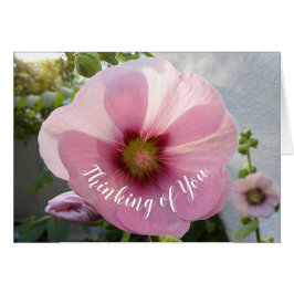 Die glühende Hollyhock-Blume denkt an Ihre Karte
