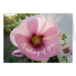 Die glühende Hollyhock-Blume denkt an Ihre Karte
