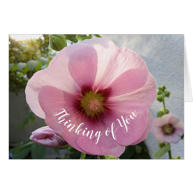 Die glühende Hollyhock-Blume denkt an Ihre Karte (Vorderseite (Horizontal))