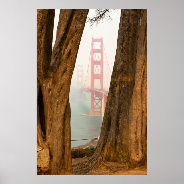Die Golden Gate Bridge | Bäume aus Übersichtsansic Poster (Vorne)