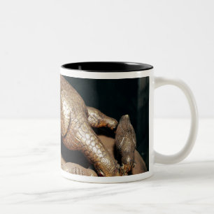 Die goldene Henne und ihre Küken Zweifarbige Tasse