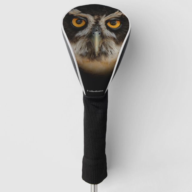 Die goldenen Augen eines spektakulären Eule Golf Headcover (Vorderseite)