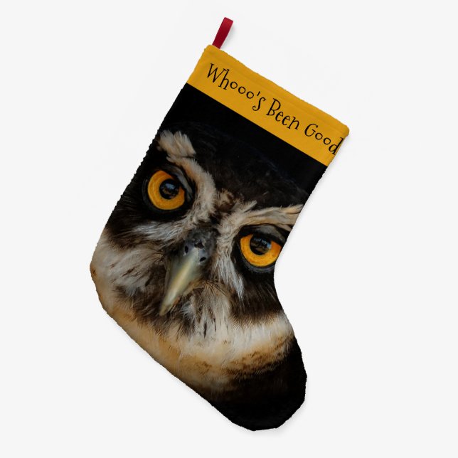 Die goldenen Augen eines spektakulären Eule Großer Weihnachtsstrumpf (Vorderansicht (hängend))