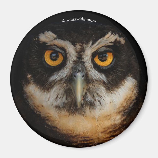 Die goldenen Augen eines spektakulären Eule Magnet (Vorne)