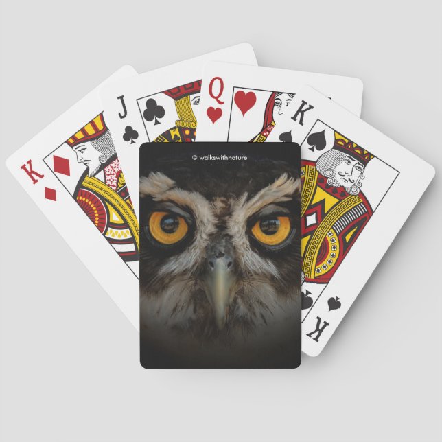 Die goldenen Augen eines spektakulären Eule Spielkarten (Rückseite)