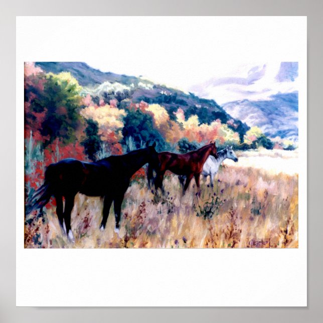 DIE GRAINFRAU COMETH POSTER (Vorne)