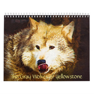 Die grauen Wölfe von Yellowstone Kalender