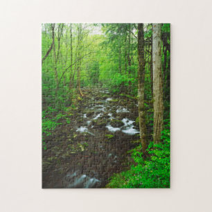 Die Great Smoky Mountains