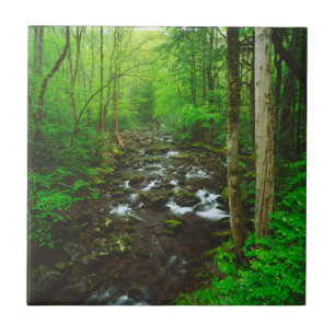 Die Great Smoky Mountains Fliese