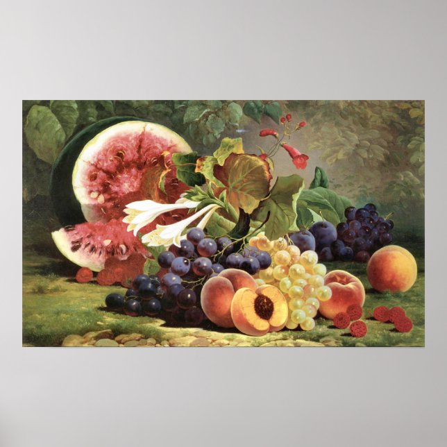 Die Grenzen der Natur Poster (Vorne)