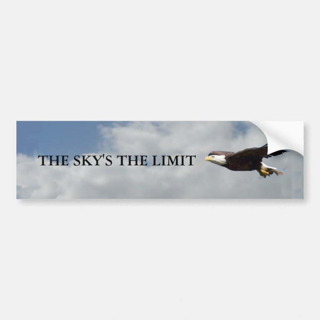 Die Grenzen des Skys Autoaufkleber (Vorne)