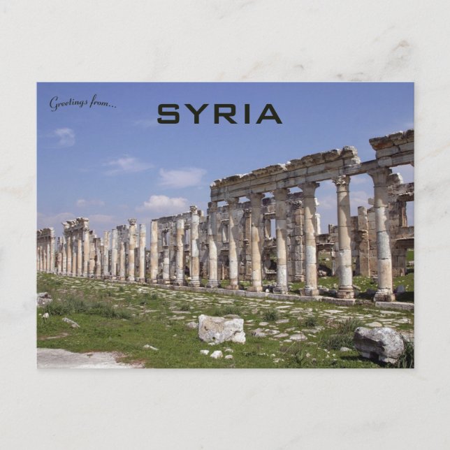 Die Große Kolonnade in Apamea Syrien Postkarte (Vorderseite)