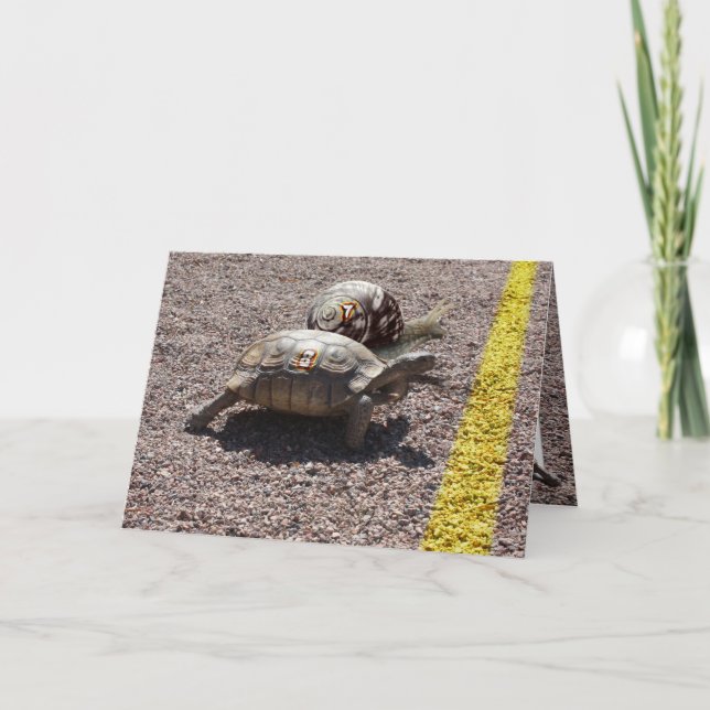 Die große Schildkröte und das Schneckenrennen Karte (Vorderseite)