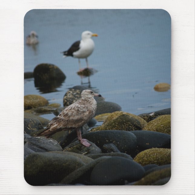 Die große schwarz-gestützte Gull-Mousepad Mousepad (Vorne)