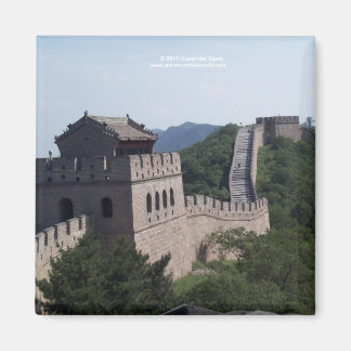 Die große Wand des Souvenirmagneten der China Magnet