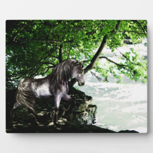 Die Große Wasserscheidenebene Fotoplatte