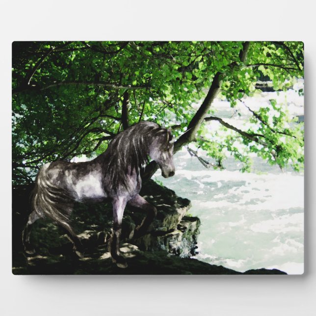 Die Große Wasserscheidenebene Fotoplatte (Vorderseite)