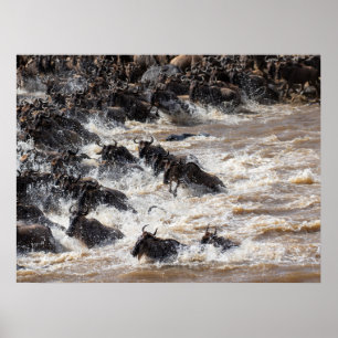 Die große Wildebeest-Kreuzung - Mara River Safari Poster