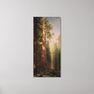 Die großen Bäume, Mariposa Grove, CA von Bierstadt Leinwanddruck