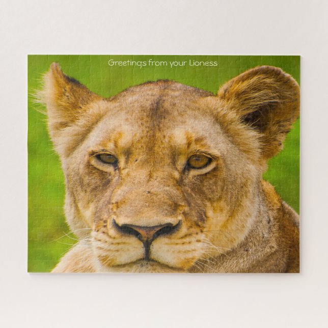 Die großen Katzen Löwen. Puzzle (Horizontal)