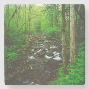 Die großen, spottigen Berge Steinuntersetzer