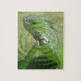Die grüne Iguana