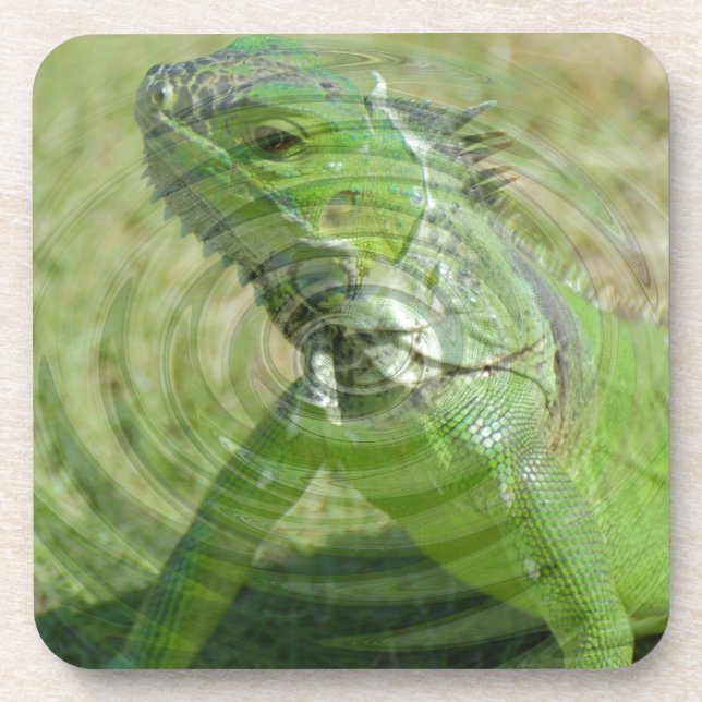 Die grüne Iguana Getränkeuntersetzer (Vorderseite)