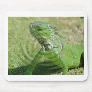 Die grüne Iguana Mousepad