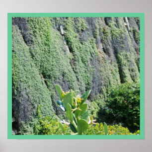Die grüne Mauer Poster