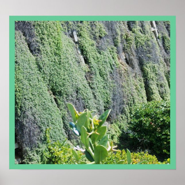 Die grüne Mauer Poster (Vorne)