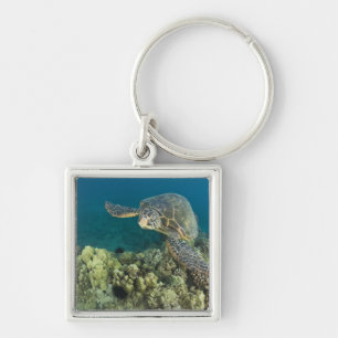 Die Grüne Meeresschildkröte, (Chelonia mydas), ist Schlüsselanhänger