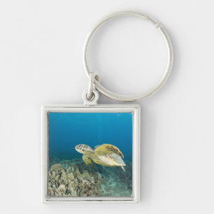 Die Grüne Meeresschildkröte, (Chelonia mydas), ist Schlüsselanhänger