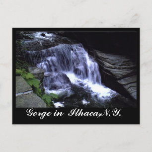 DIE GRÜNE VON ITHACA, N.Y. Postkarte