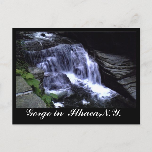 DIE GRÜNE VON ITHACA, N.Y. Postkarte (Vorderseite)