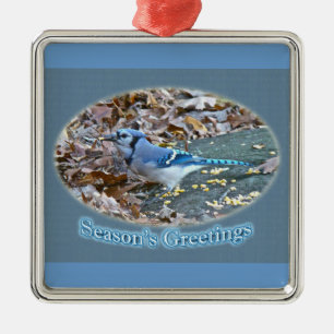 Die Gruß-Verzierung der blauen Jay-Jahreszeit Silbernes Ornament