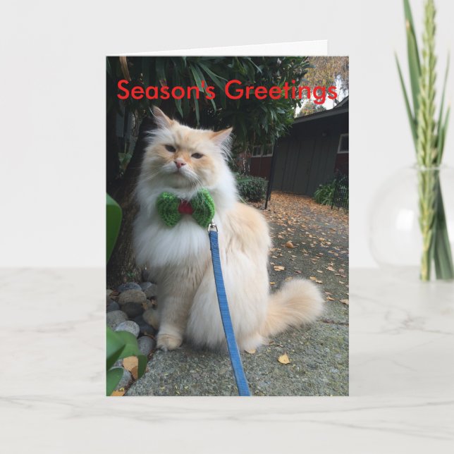 Die Grüße der Jahreszeit Feiertagskarte (Vorderseite)