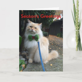 Die Grüße der Jahreszeit Feiertagskarte