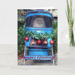 Die Grüße der Jahreszeit Feiertagskarte